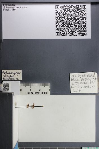 Media type: image;   Entomology 586768